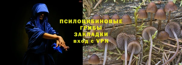 мяу мяу мука Няндома