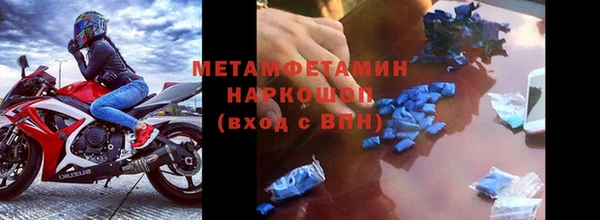 мяу мяу мука Няндома
