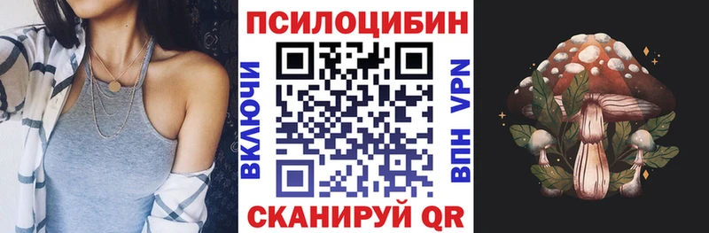 mega ССЫЛКА Балтийск Галлюциногенные грибы GOLDEN TEACHER где можно купить наркотик