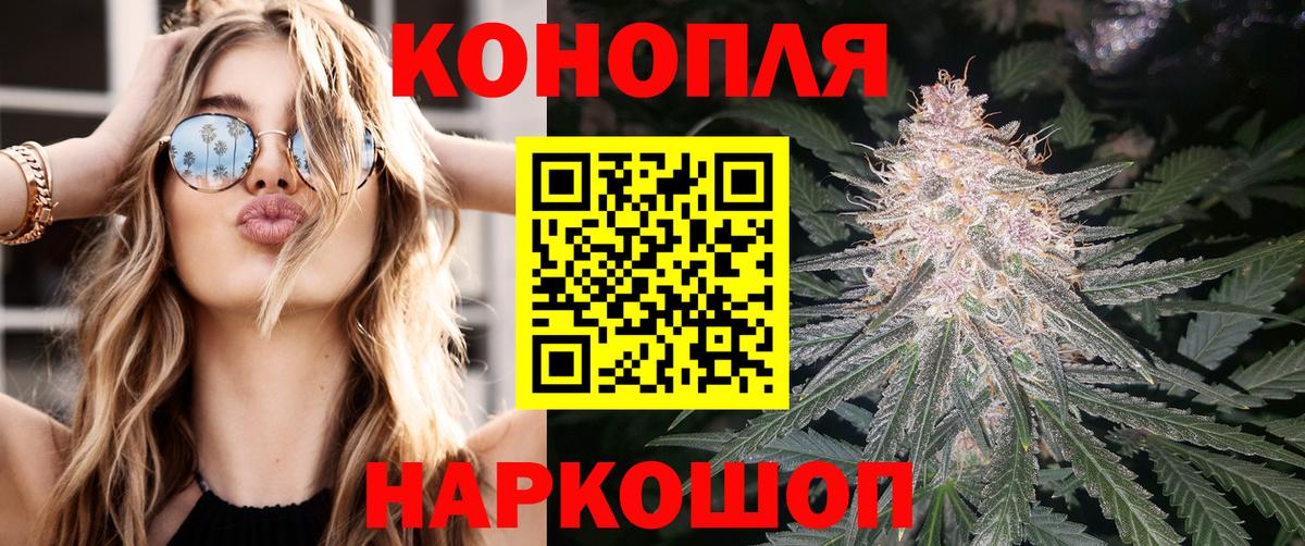 Бошки Шишки планчик  Бошки марихуана MAZAR  Конопля планчик  Конопля сатива  Вход с VPN  Балтийск 